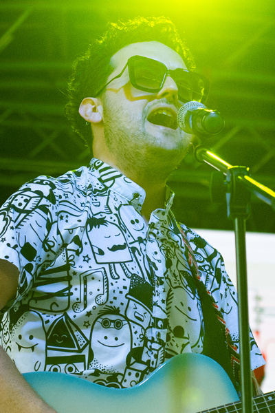  Elamigoácido