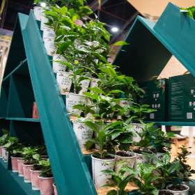 acompaña noticias Cafés de Colombia Expo