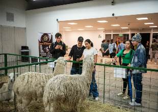 Acompa��a noticias - Expopet