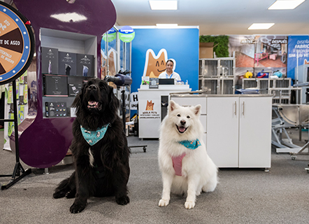 Acompaña noticias - Expopet