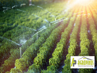 Optimize your production with sprinkler irrigation systems: Complete guide