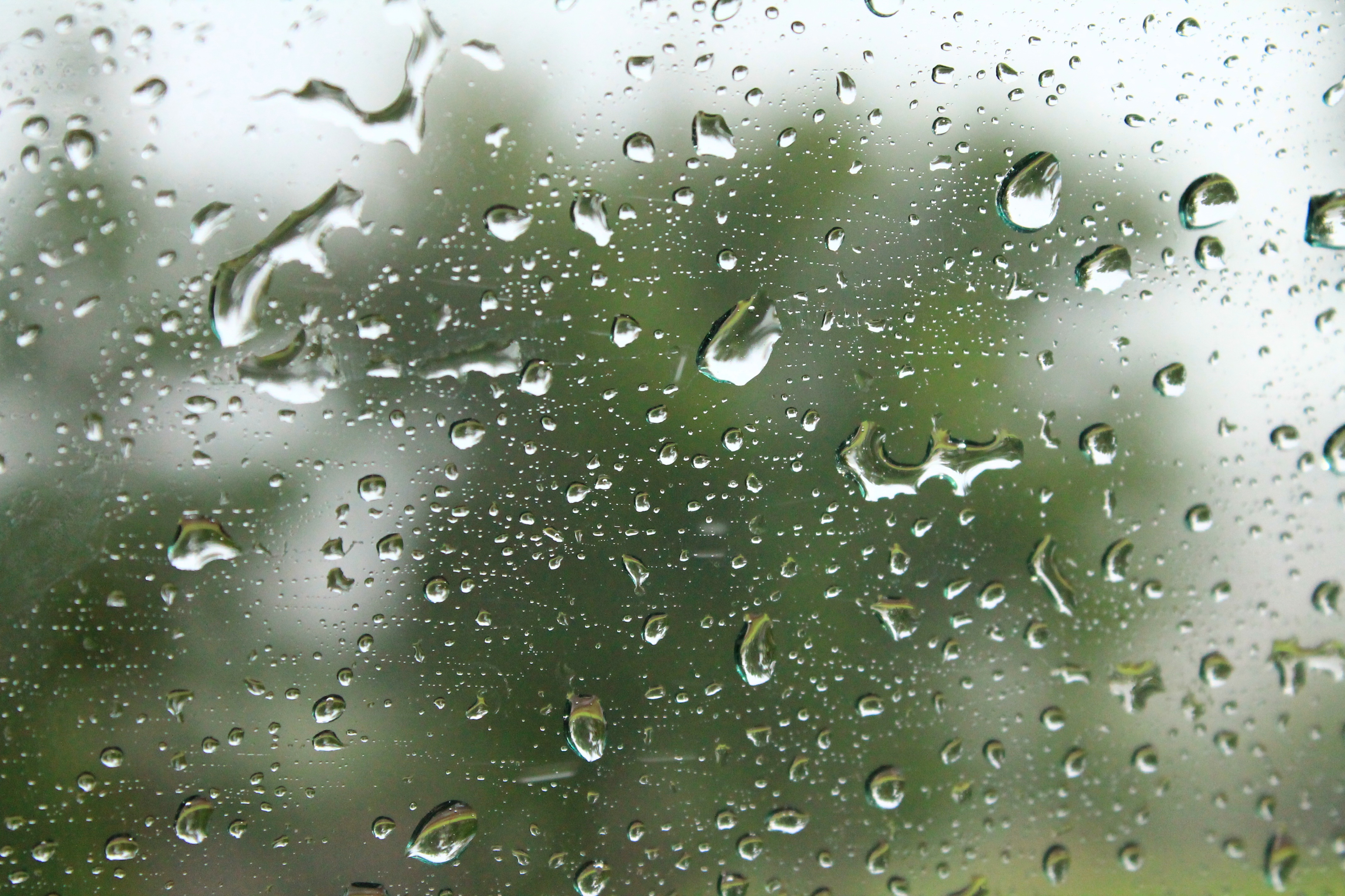 SATIC: El modelo predictivo que une ciencia y comunidad contra las lluvias en Cali
