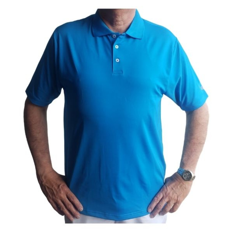 Camisas tipo polo 2025 economicas